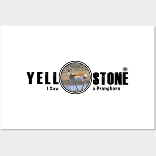 I Saw a Pronghorn, Yellowstone National Park Posters and Art